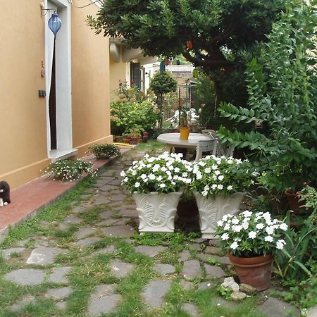 Perla B&B Lido di Venezia Eksteriør bilde