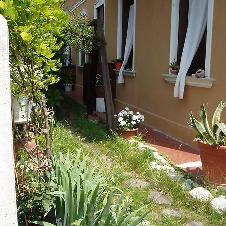 Perla B&B Lido di Venezia Eksteriør bilde